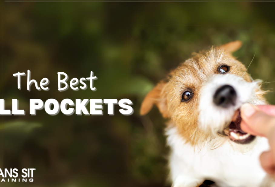 The Best Pill Pockets for Dogs
