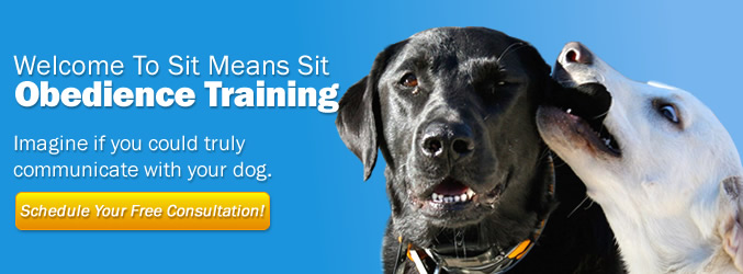 Sit means sit obedience training banner
