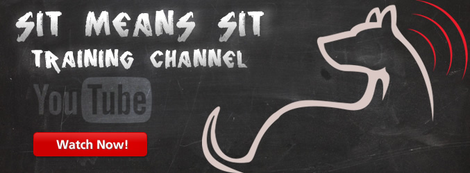 Sit means sit training channel youtube