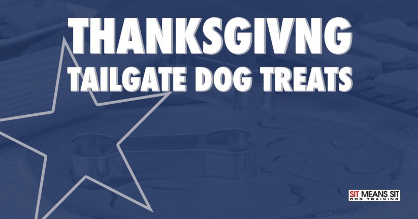 Thanksgiving Tailgate Dog Treats
