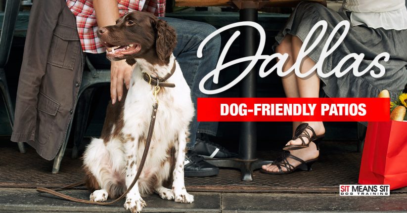 Dog-Friendly Patios in Dallas