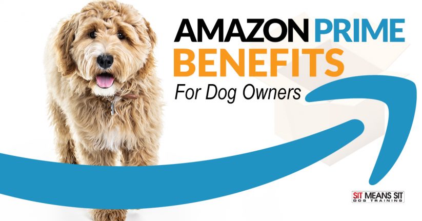 Amazon Prime Benefits for Dog Owners