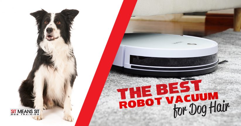 Best Robot Vacuums for Dog Hair