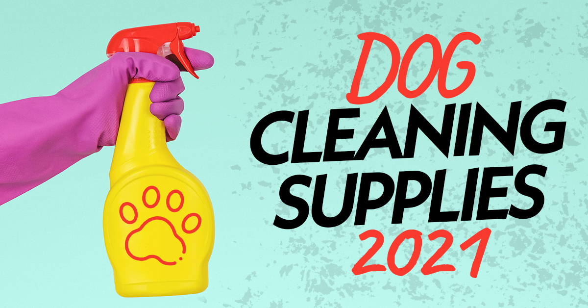 Dog Cleaning Supplies for 2021
