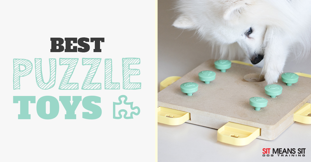 Best Dog Puzzle Toys  Sit Means Sit Dog Training