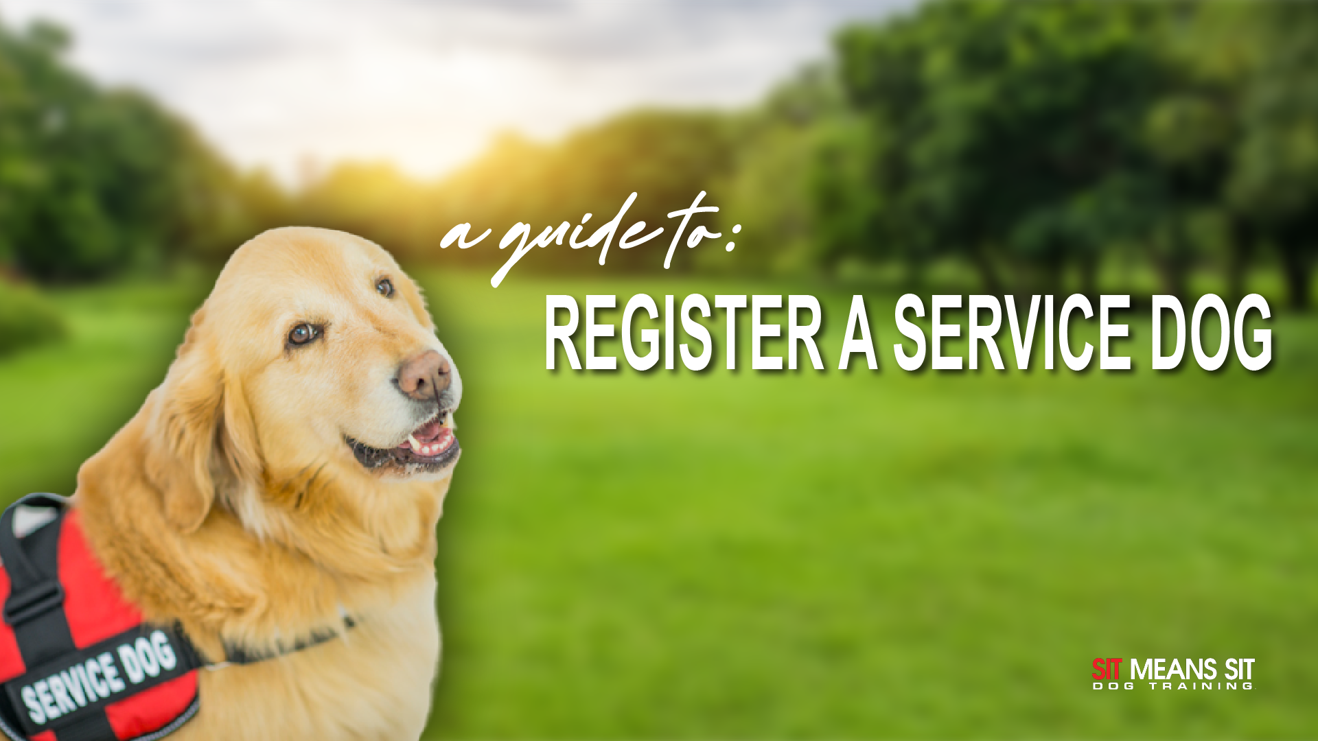 do i need to register a service dog