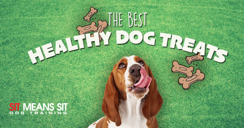 The Best Healthy Dog Treats