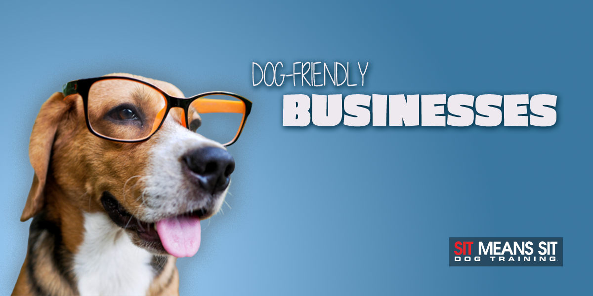 Check Out The Most Dog Friendly Businesses of 2024
