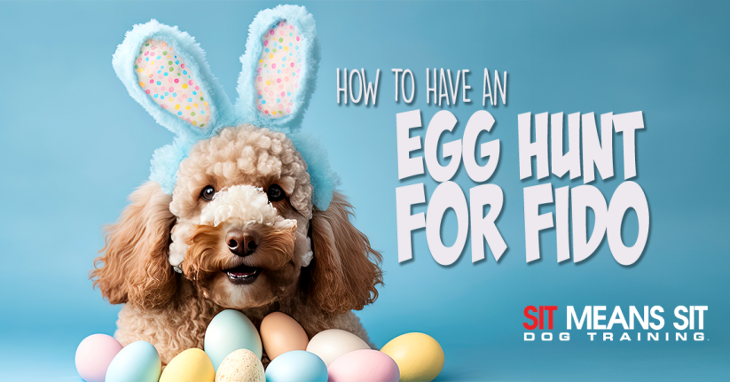 How To Organize The Perfect Easter Egg Hunt For Fido