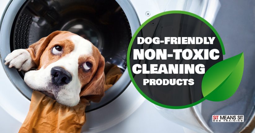 Dog-Friendly Non-Toxic Cleaning Products