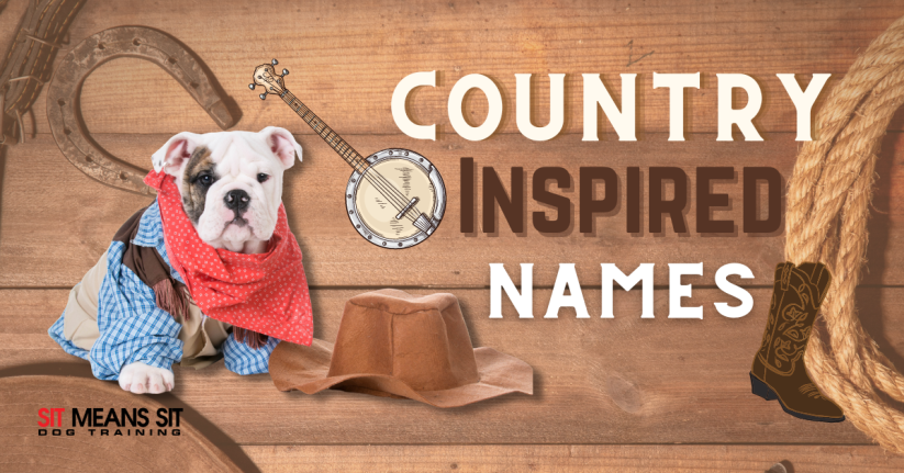 Country Inspired Dog Names