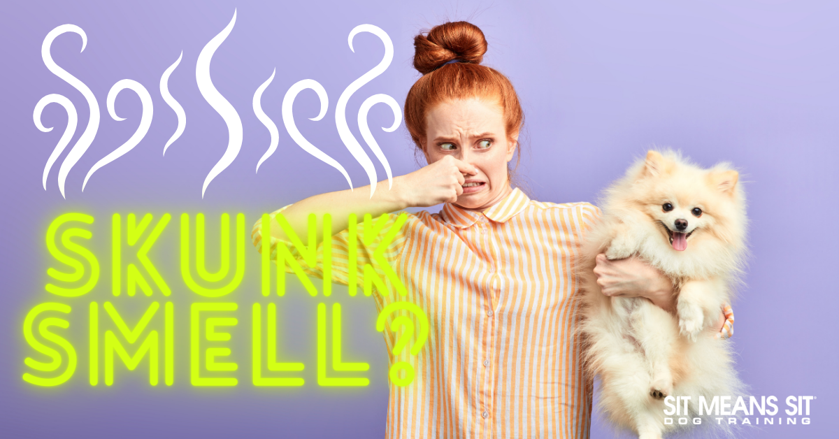 Skunk smell? in yellow text with purple background