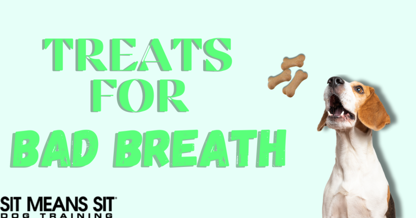 Dog Treat Recipes for Bad Breath