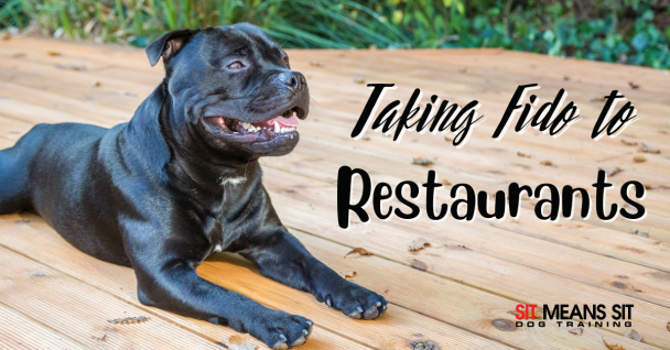Tips for Taking Your Dog to a Restaurant