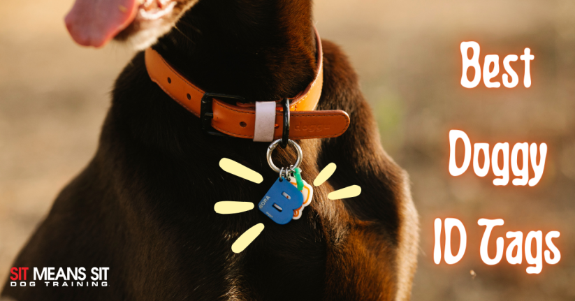 The Best Doggy ID Tags