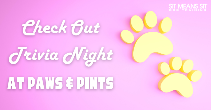 Check Out Trivia Night at Paws & Pints