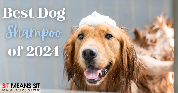 The Best Dog-Friendly Shampoo of 2024