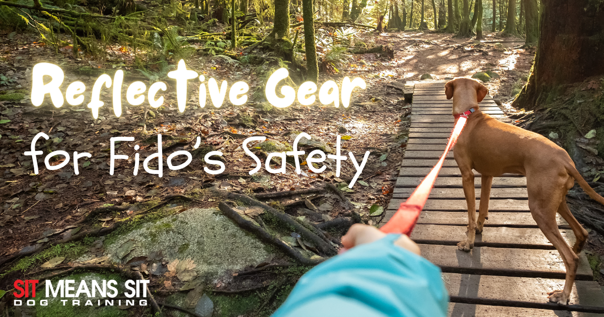 reflective gear for fido's safety banner with trees in the background