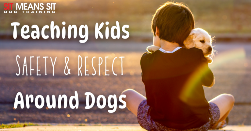 Teaching Your Kids How to be Safe & Respectful Around Dogs