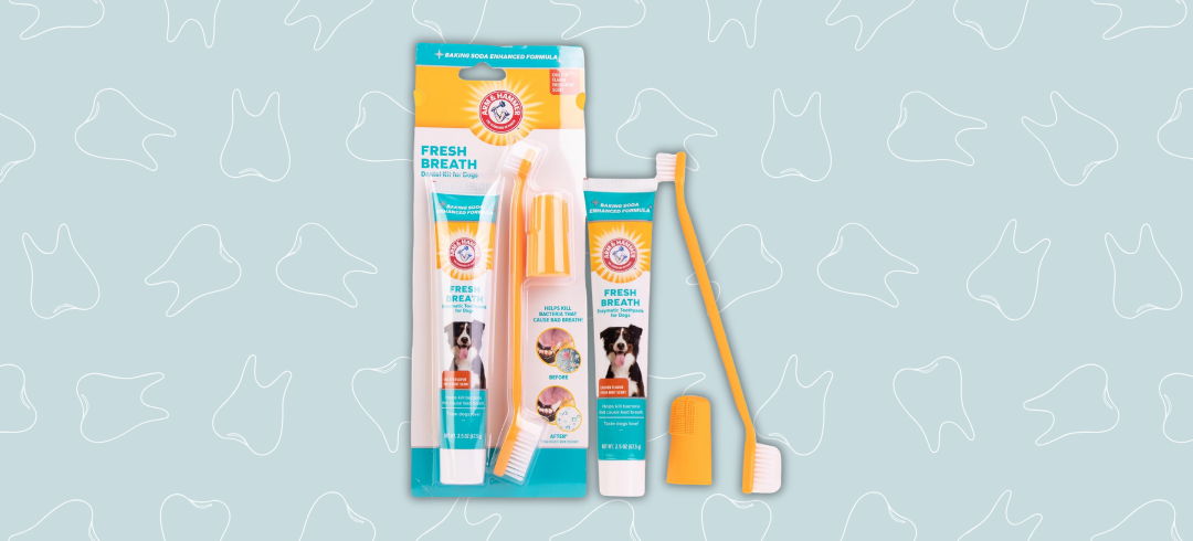 Dog Dental Care: Top Toothbrushes for Fido