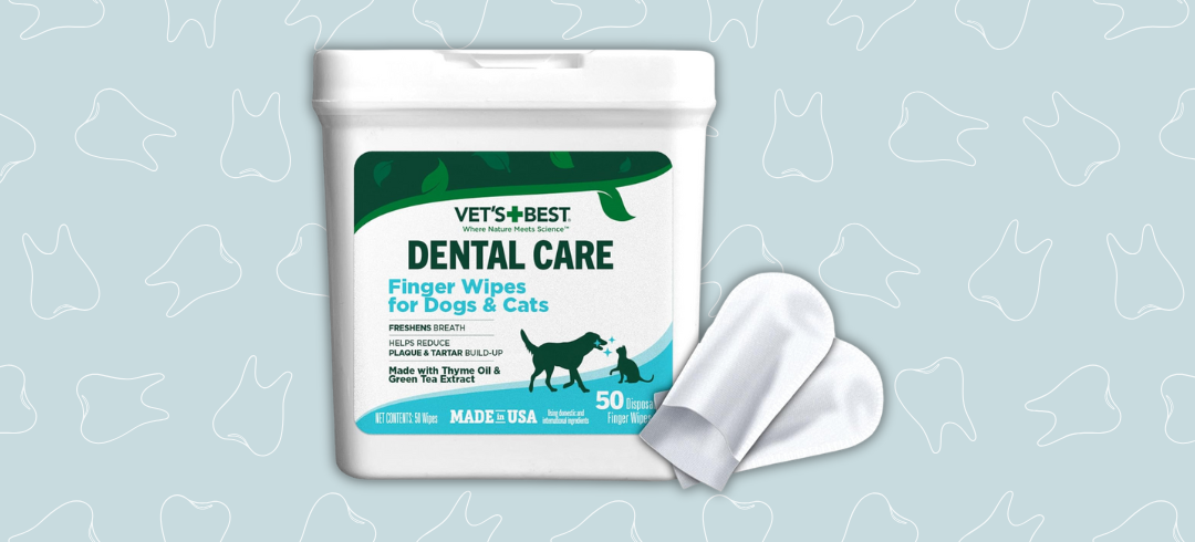Dog Dental Care: Top Toothbrushes for Fido