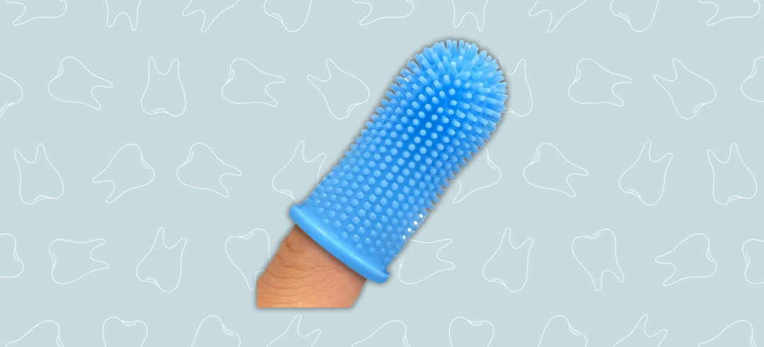 Dog Dental Care: Top Toothbrushes for Fido