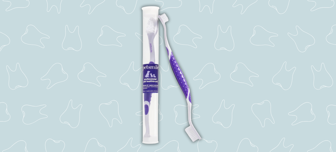 Dog Dental Care: Top Toothbrushes for Fido