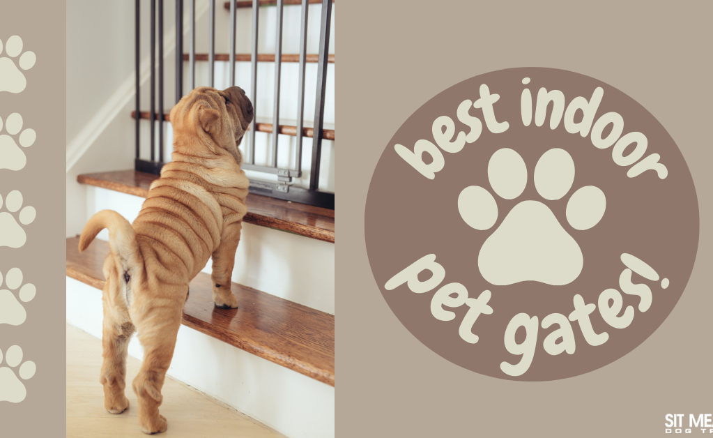 Top Indoor Pet Gates for Safety & Convenience