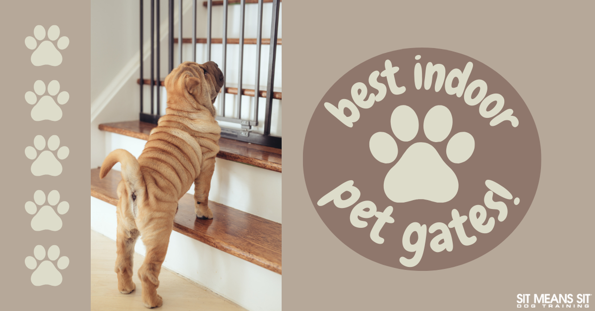 Top Indoor Pet Gates for Safety & Convenience