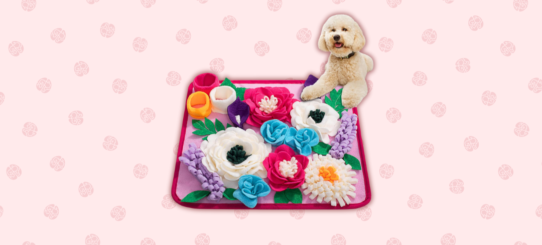 Toys That'll Work Your Dog’s Brain