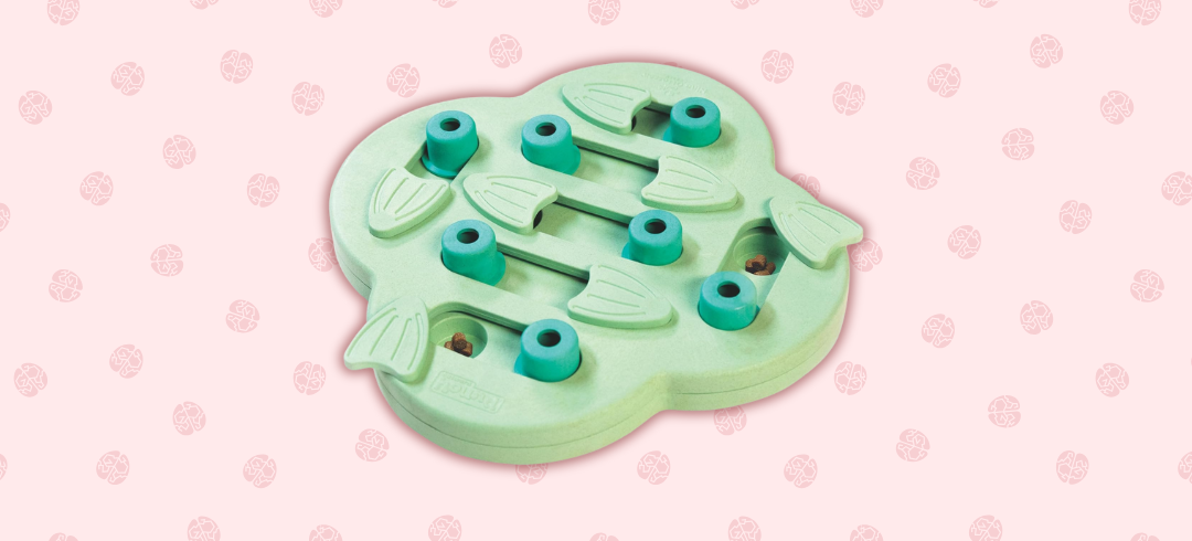 Toys That'll Work Your Dog’s Brain