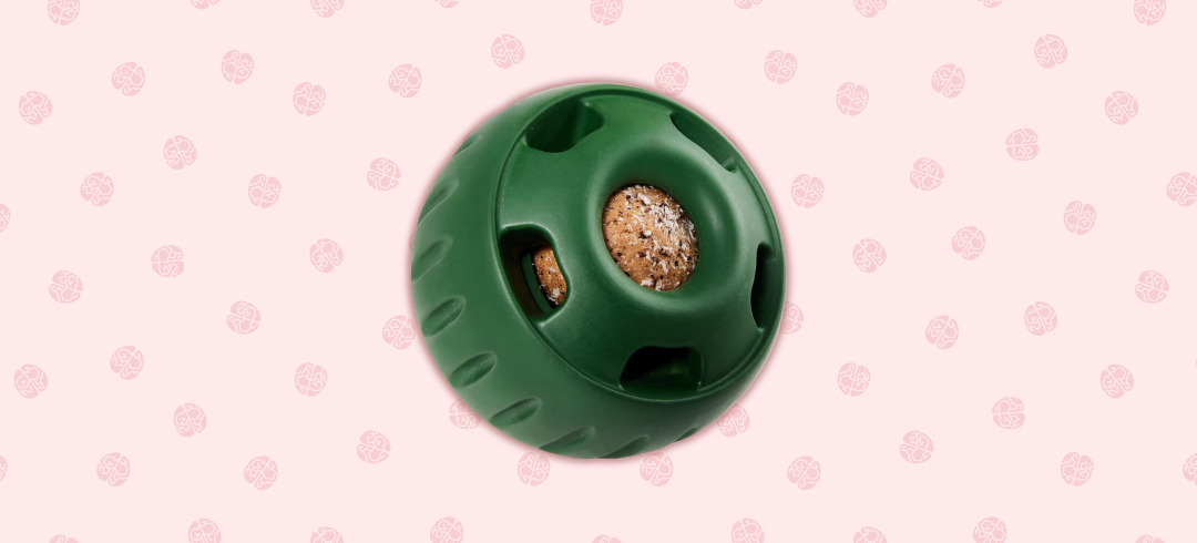 Toys That'll Work Your Dog’s Brain
