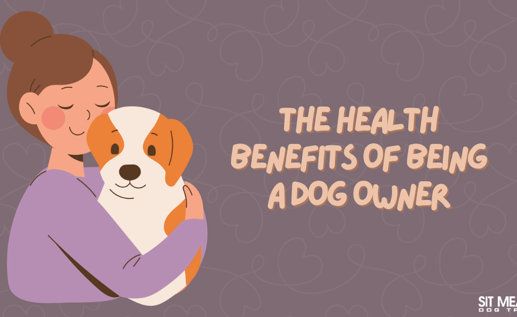 The Health Benefits of Being a Dog Owner