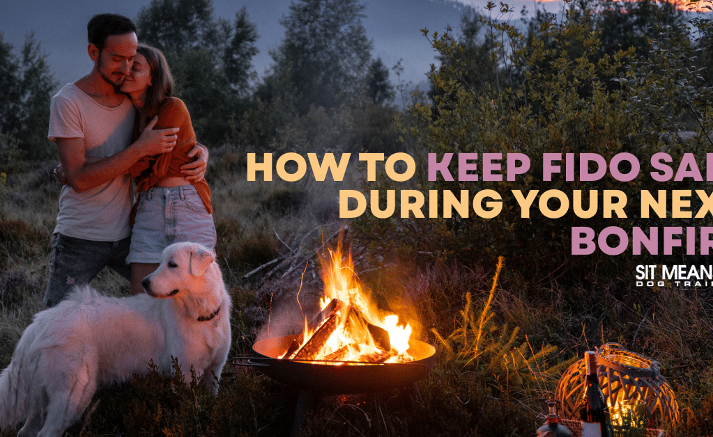 How to Keep Fido Safe During Your Next Bonfire