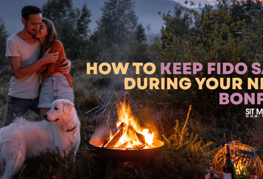 How to Keep Fido Safe During Your Next Bonfire