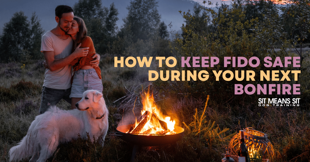 How to Keep Fido Safe During Your Next Bonfire