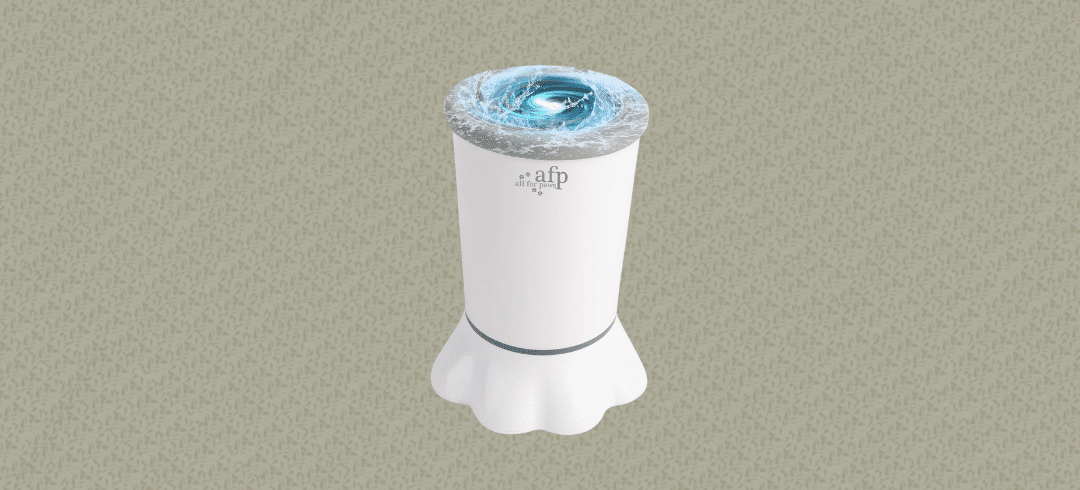 The Best Tools for Cleaning Muddy Paws