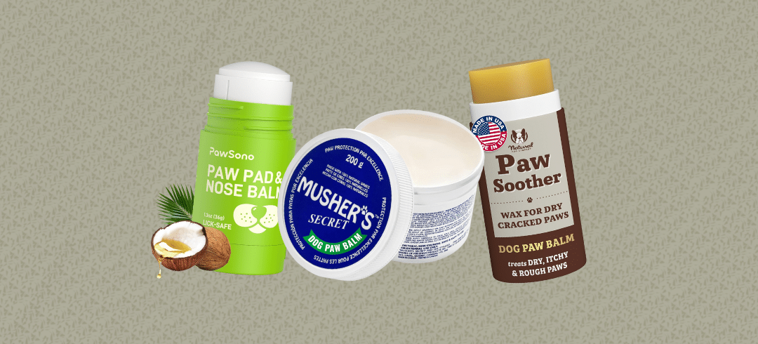 The Best Tools for Cleaning Muddy Paws