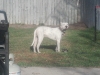 2013-02-02_09-11-00_981