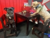 Erebus & Rambo