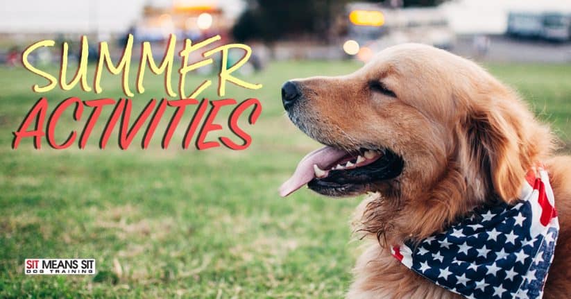 Summer Activities in Maryland for Dogs