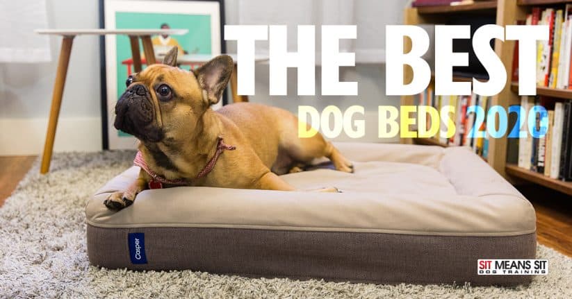 The Best Dog Beds for 2020
