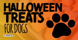 Halloween Treats for Dogs