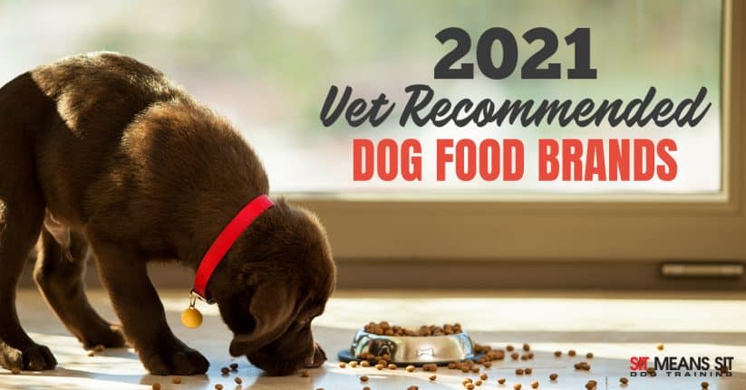 2021 Vet Recommended Dog Food Brands