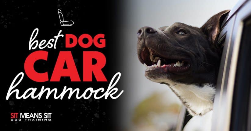 Best Dog Car Hammock