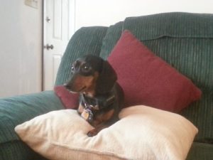 Zoe