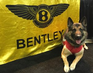 Bentley. Do you see what we did there?