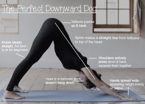 Downward Dog is not just for Yogis anymore.