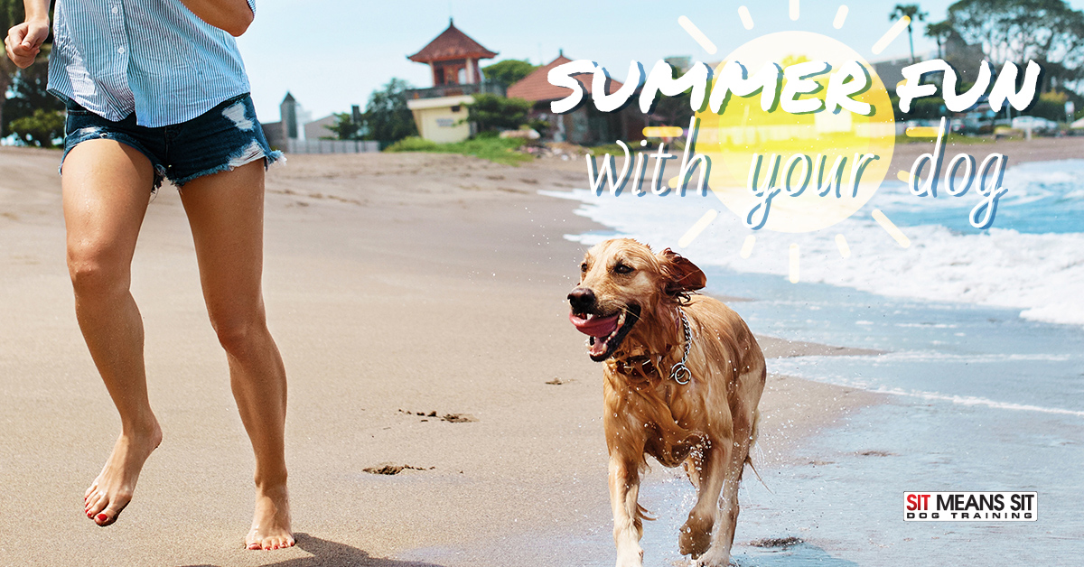 Ideas for Summer Fun with Your Dog