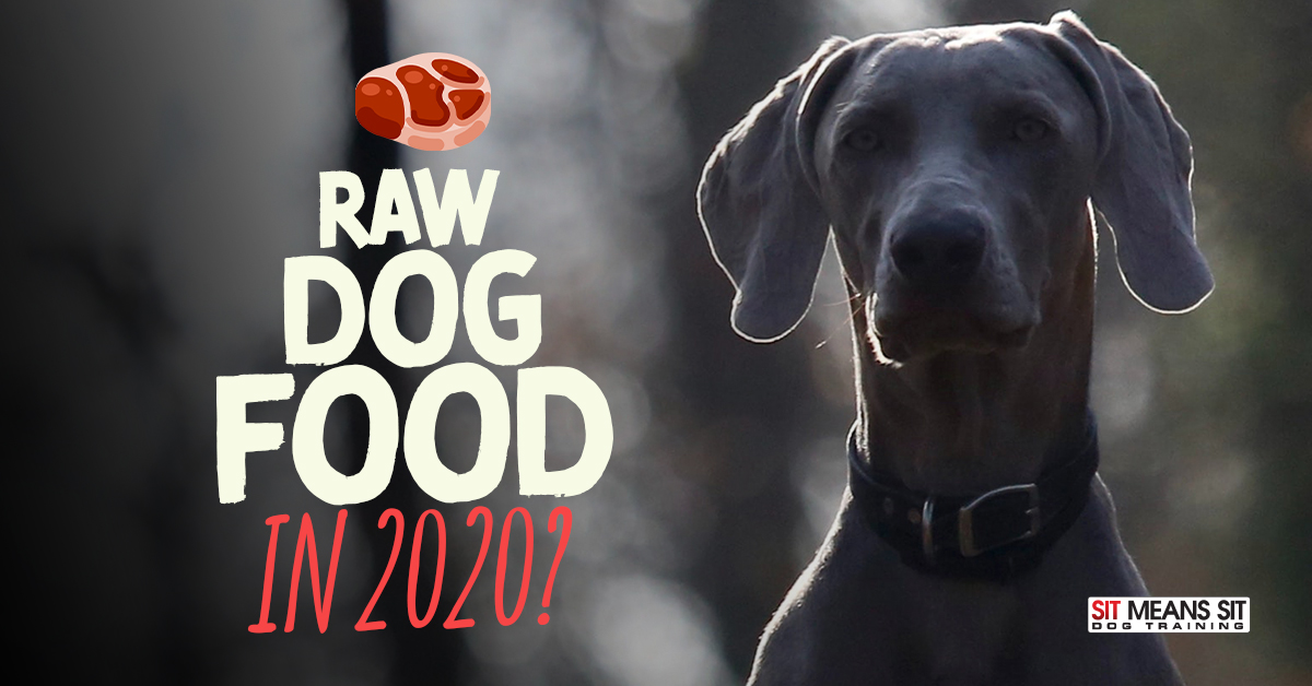 Should Dogs Eat Raw Food in 2020?